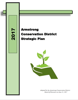 2017 Strategic Plan