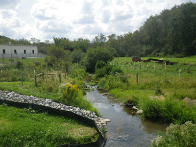 Stream