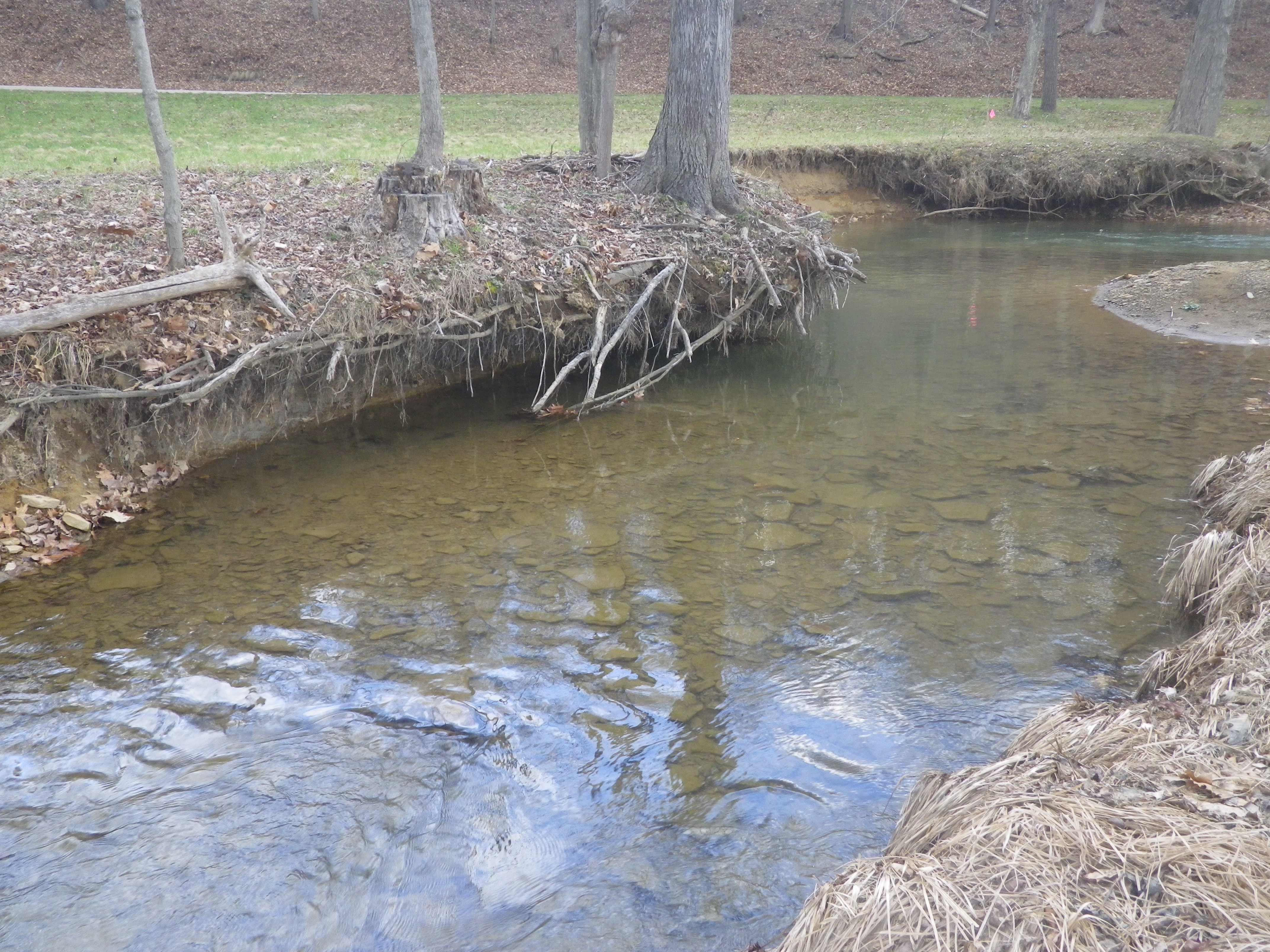 Stream Bank Erosion